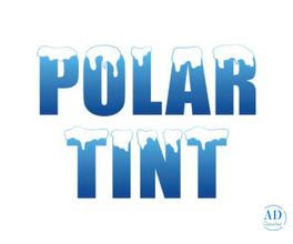 Window Tinting Franchise Greater Tampa