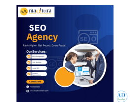 Efficient SEO Agency Madhura Technologies Ensures Quick Results