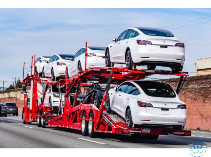 Auto Transport Services in South Carolina
