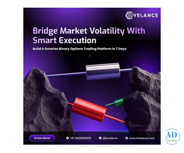 Custom Binary Option Trading Platform Development vs Ready-Made Solutions