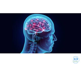 Advanced Solutions for the Treatment of Brain Hemorrhage