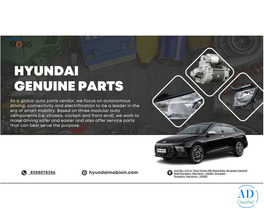 Hyundai Mobis India – OEM Genuine Parts Supplier