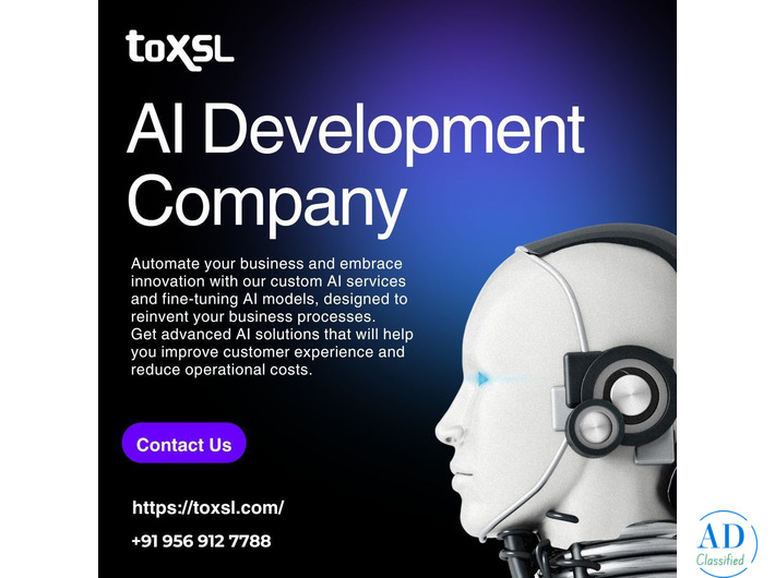 Advanced Custom AI Development Services for Smart Businesses | ToXSL Technologies