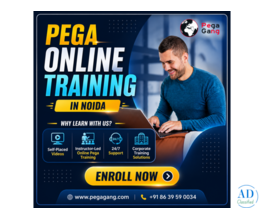 Certified Pega Online Training in Noida for Beginners to Experts