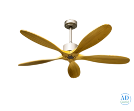 Premium BLDC Ceiling Fan