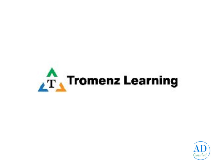 Best CISM Online Training