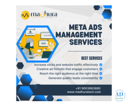 Cost-Effective Meta Ads Management Services in Coimbatore | Madhura Technologies