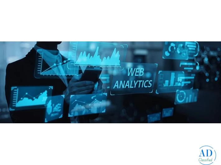 Professional Web Analytics Consulting Service