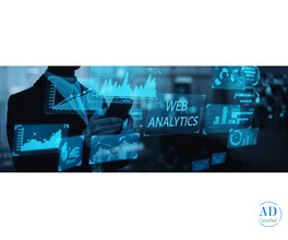Professional Web Analytics Consulting Service