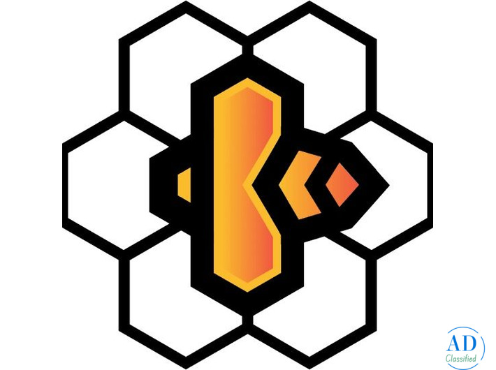 Hire Digital Marketing Consultant Udaipur | Beeztech