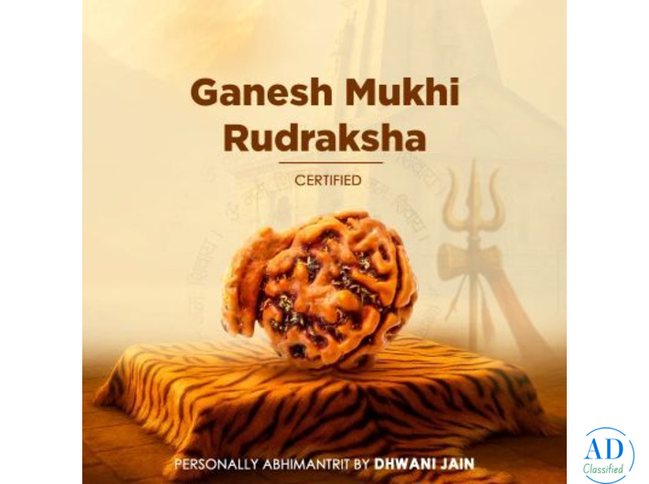Ganesh Mukhi Rudraksha for Success by Dhwani Astro