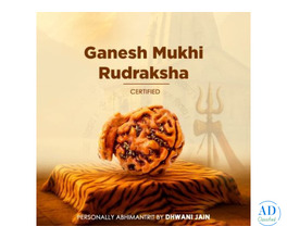 Ganesh Mukhi Rudraksha for Success by Dhwani Astro