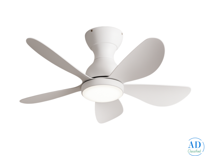 Elegant Designer Silent Ceiling Fan