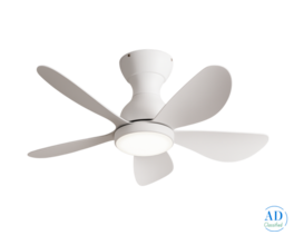 Elegant Designer Silent Ceiling Fan