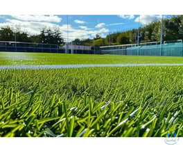 Advanced Synthetic Cricket Pitch for Training & Matches