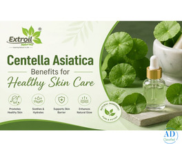 Centella Asiatica Benefits for Healthy Skin Care