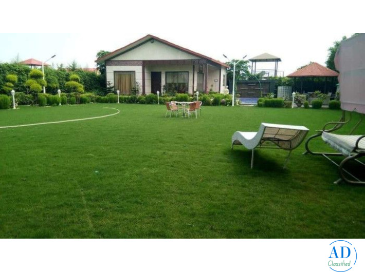 Novel Organic Farms in Noida – Luxury Farmhouse Plots & Organic Living