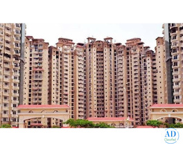 Buy Flats in Amrapali Kingswood Tower Noida Extension