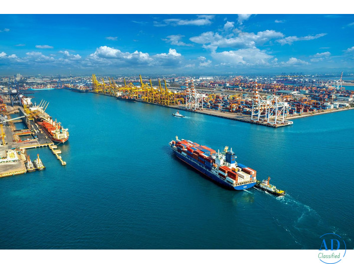 Professional Sea Freight in Dubai – AMEXPRO GLOBAL SHIPPING
