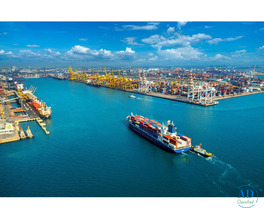 Professional Sea Freight in Dubai – AMEXPRO GLOBAL SHIPPING