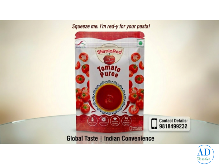 Buy Premium Tomato Puree Online at the Best Price