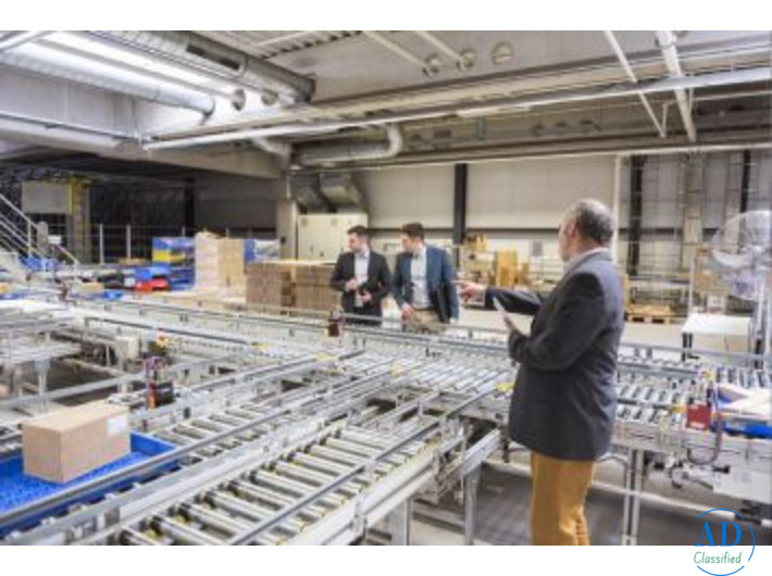 Custom Warehouse Conveyor Solutions by Automag India