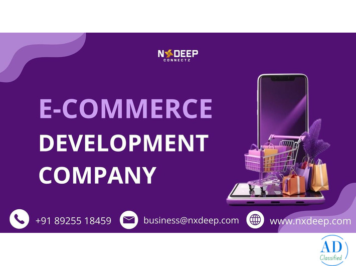 Top Notch E-Commerce Development Company