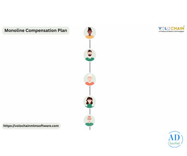 Boost Profits with Monoline Compensation Plan Services