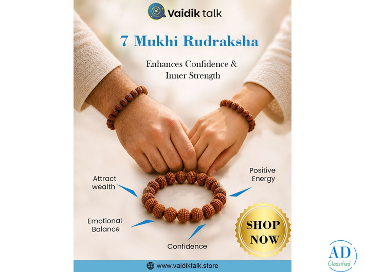 Premium 7 Mukhi Rudraksha Bracelet for Prosperity