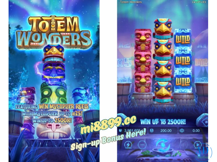 Totem Wonders: Spirits Awaken Under Starlight!