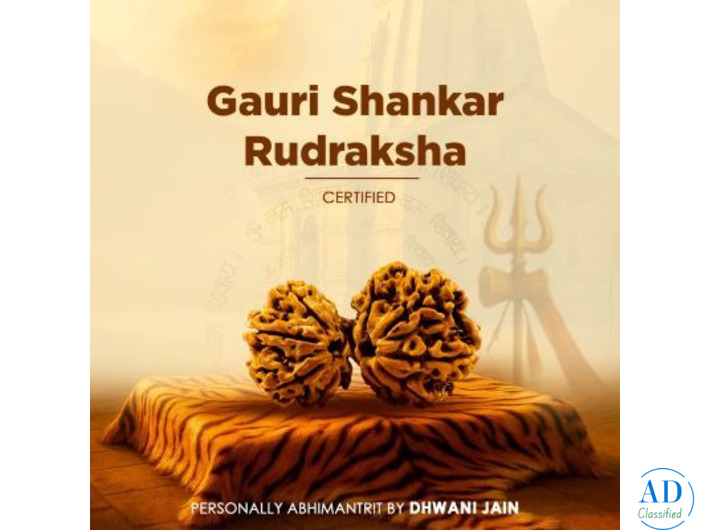 Nepali 2 Mukhi Rudraksha (Two Faced) for Love
