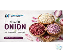 Export Quality Dehydrated Onion Suppliers in India – Chhatariya Foods Pvt. Ltd.