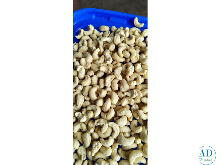 Top 20 cashew nuts latest price whlolesaler in Mumbai Raigad
