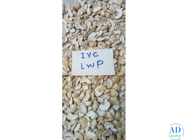 Top 20 cashew nuts latest price whlolesaler in Mumbai Raigad