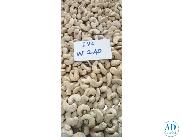 Top 20 cashew nuts latest price whlolesaler in Mumbai Raigad