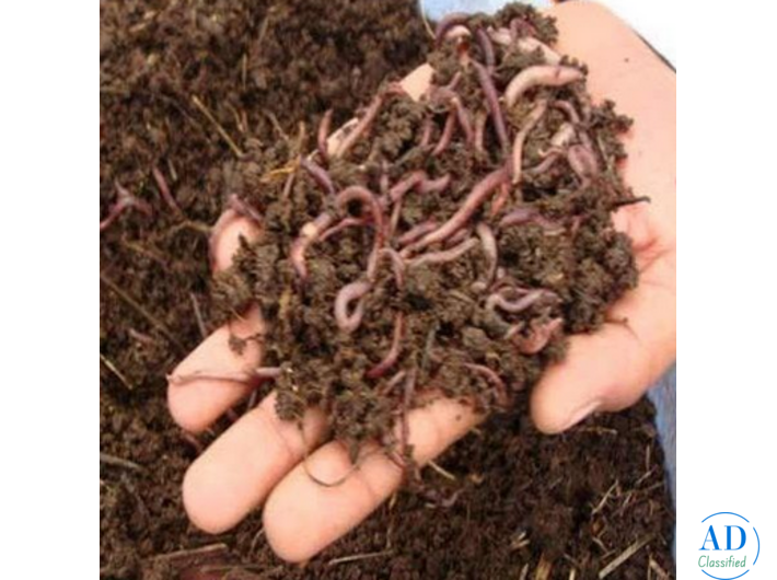 Garden manure manufacture