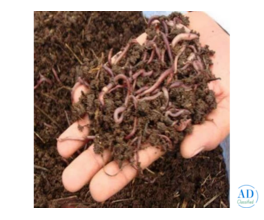 Garden manure manufacture