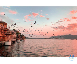 Explore the Best Places to Visit in Rajasthan for Culture & Heritage