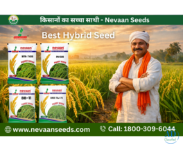 Trusted Hybrid Seeds Company in India for High Yield Crops
