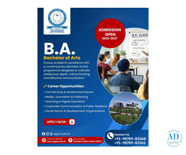 ba honours degree in punjab