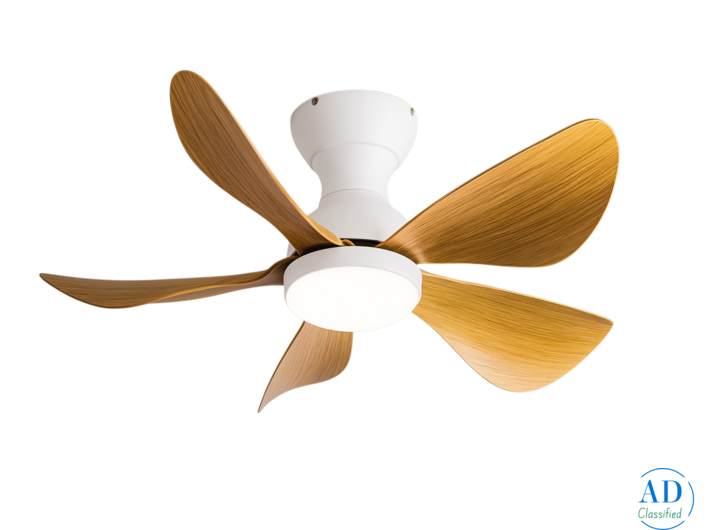 Best Aesthetic Designer Ceiling Fan