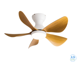 Best Aesthetic Designer Ceiling Fan
