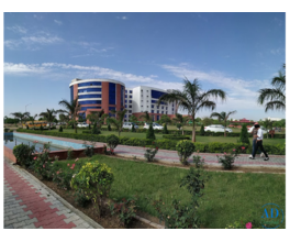best Bcom and Mcom in punjab