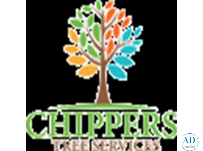 Tree Trimming vs Tree Pruning – What’s the Difference?