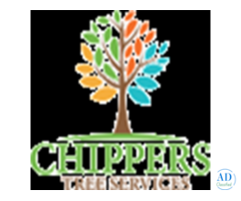Tree Trimming vs Tree Pruning – What’s the Difference?