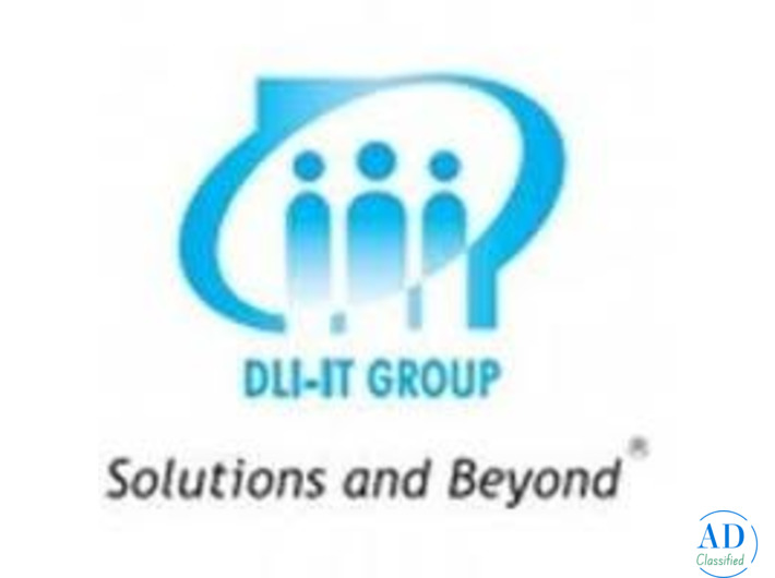 DLI-IT Group