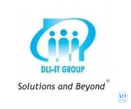 DLI-IT Group