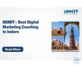 Professional Digital Marketing Course in Indore with Certifications
