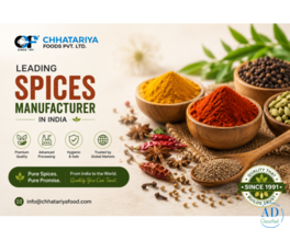 Spices Manufacturer in India for Global Food Industries - Chhatariya Foods Pvt. Ltd.