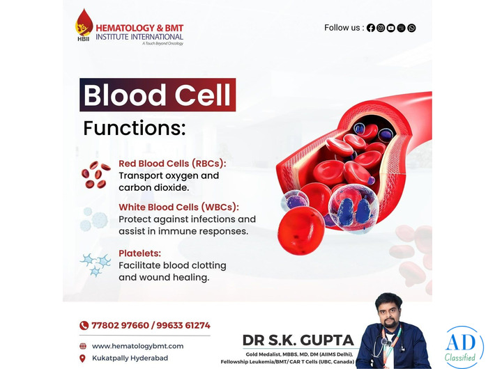 Red Blood Cells – Importance, Function, and Disorders by Dr. S K Guptha